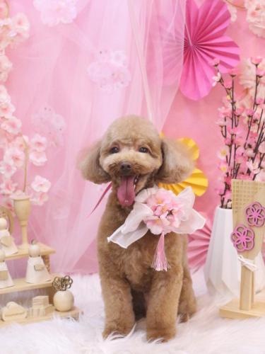 20250311マロンくん